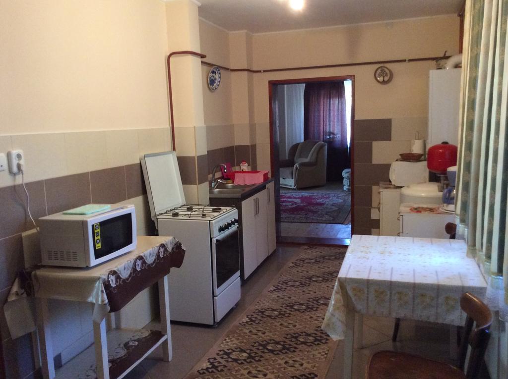 Casa Andrada & Ilinca Otel Gura Humorului Dış mekan fotoğraf