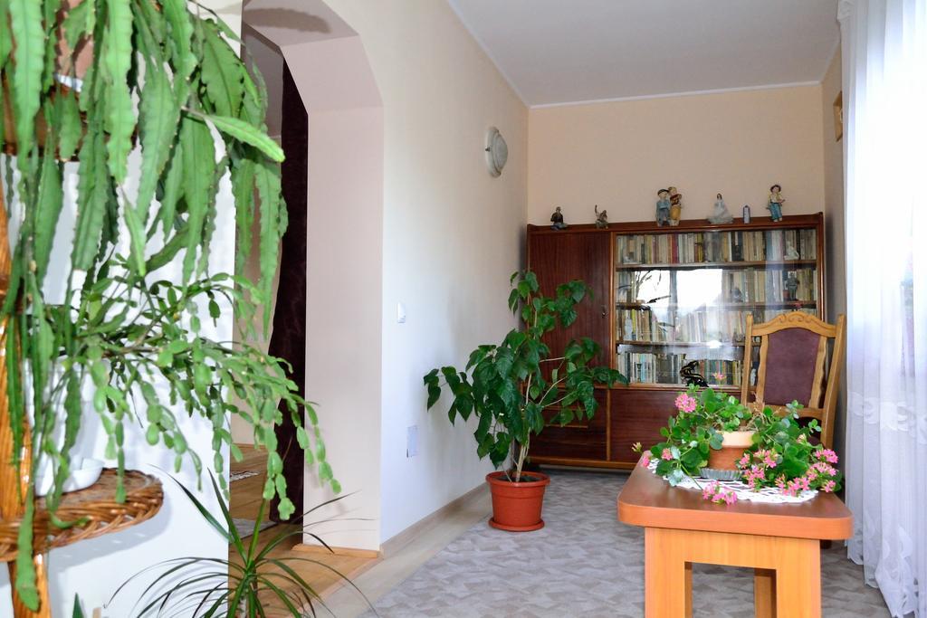 Casa Andrada & Ilinca Otel Gura Humorului Dış mekan fotoğraf